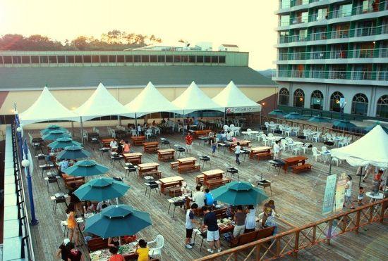 Гостиница Wellihilli Park Resort