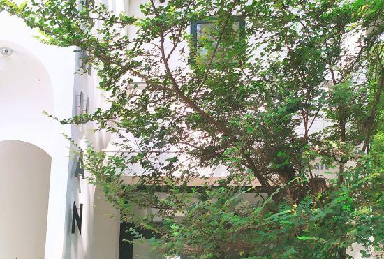 Гостиница Chuanyin Homestay (Lushan Cableway Donglinsi Branch)