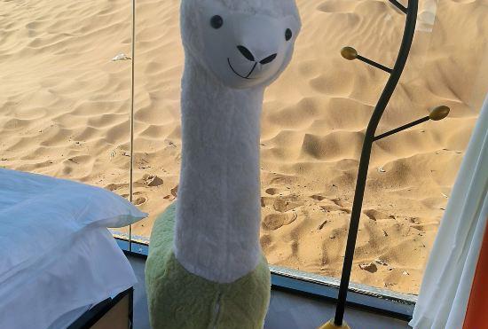 Гостиница China Satellite Chenshahai Desert Campground