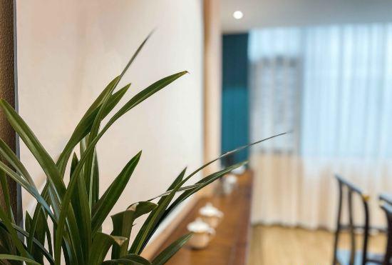 Гостиница Phoenix Yuanshe Riverview Homestay (Phoenix Scenic Area Nanhua Branch)
