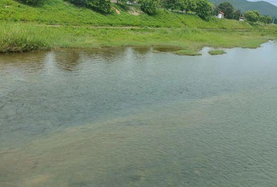 Гостиница Fogang Taoyuan Yuanzhuang Homestay