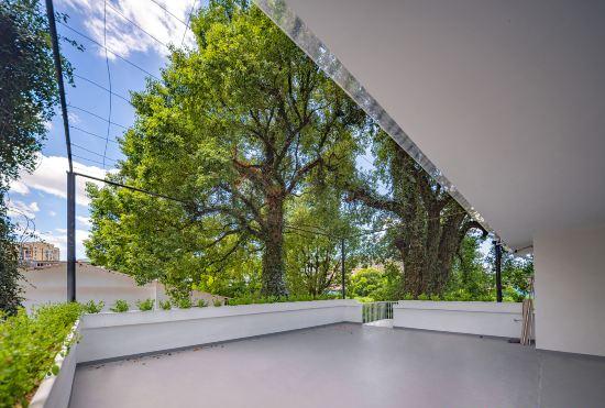 Hotel Leisurely Dwelling: Hidden Realm of Trees