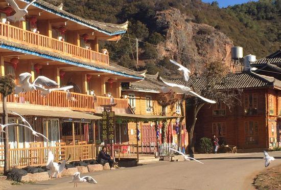 Гостиница Wuhu Huguang Mountain House Inn