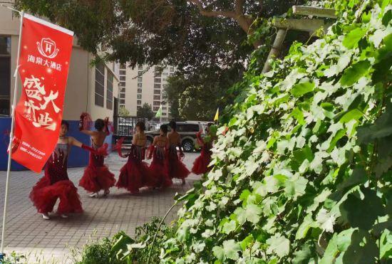 Begonia Hotel
