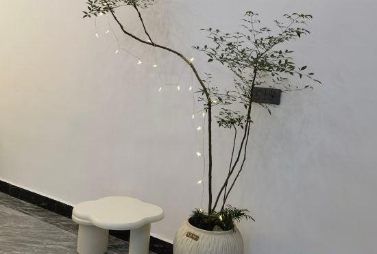 Гостиница Yuting Lanshe Hotel (Yangshuo West Street)