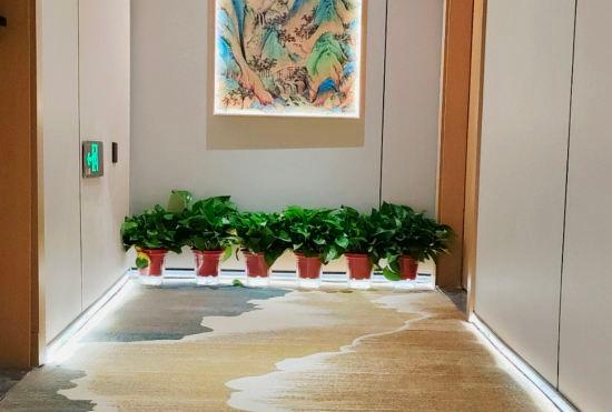 Гостиница Mercure Lu'an Everything
