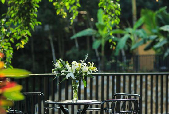 Sensi Rainforest Peninsula Hotel