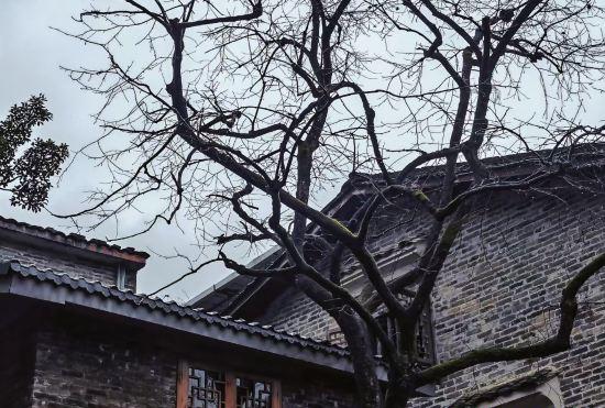 Hotel Liang Erjie Inn, Huangyao Ancient Town