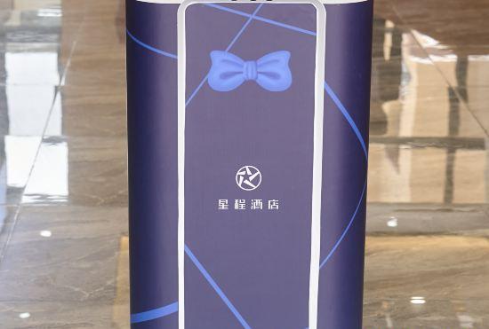 Гостиница Starway Hotel (Yining Railway Station)