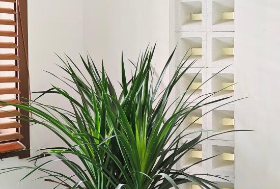 Гостиница Chahui Homestay (Wangfujing Branch)