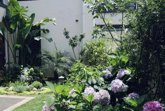 Hotel Dali Xingshan Cui Ji B&B