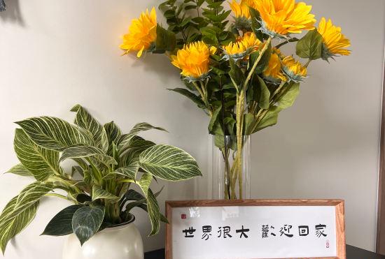 Гостиница Manyuan Qingfeng B&B