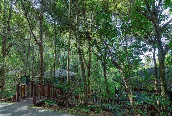 Гостиница Red Panda Manor Pu’re