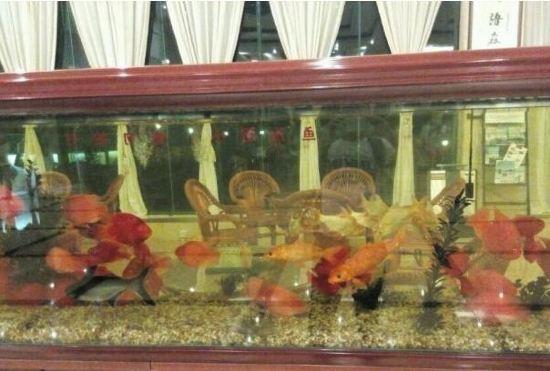 Гостиница Wencheng International Hotel