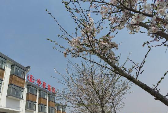 Гостиница Zhongxiang Hotel (Jiashan Xitang Branch)