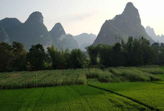 Hotel Daxin Mingshi Daoxiang Inn