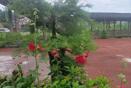 Гостиница Wencheng Mengxuan Longlang Homestay