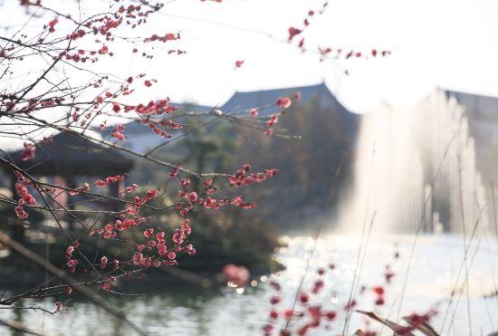 Гостиница Yunlan Bay Shuanglian Hot Spring Resort