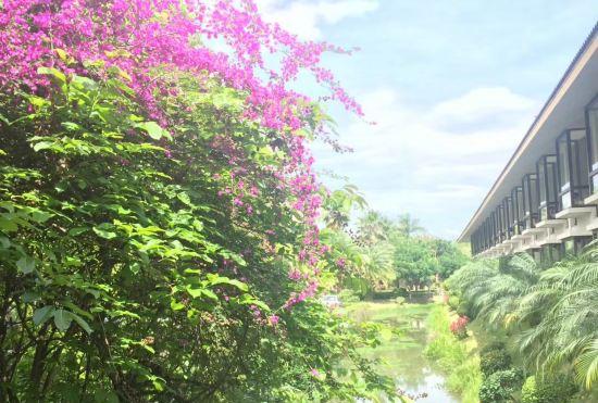Гостиница Imperial Palace Hot Spring & Resort