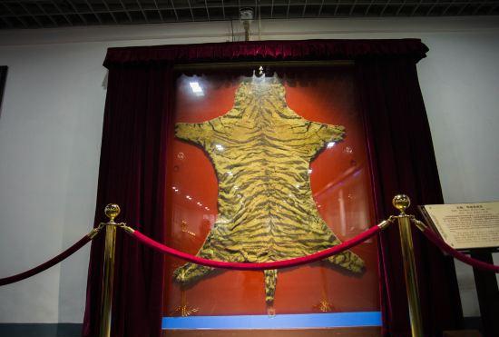 Гостиница Huangshan Xiuning Jianmingtang Yizhan