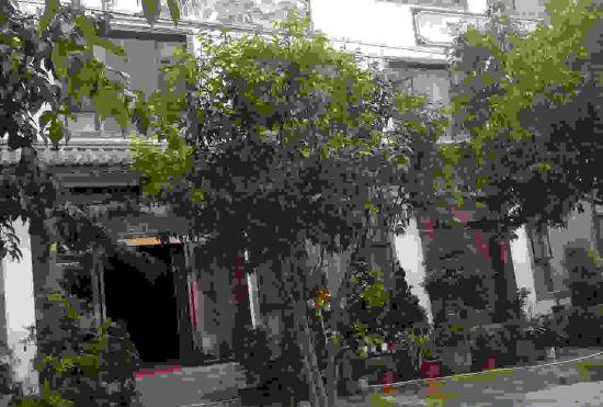 Гостиница Zidong Hotel Wuyuan