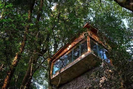 Гостиница Lahao Forest B&B