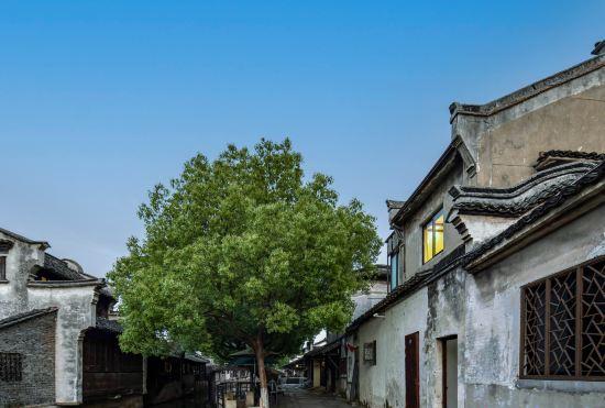 Hotel Wuzhen Weiming Inn