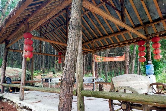Гостиница Natural Oxygen Bar Home