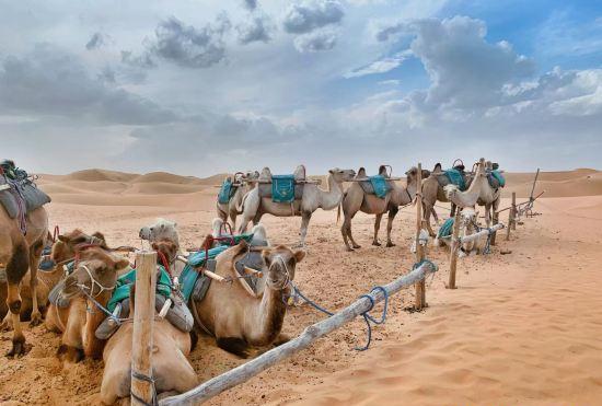 Hotel Zhongwei Daxing Night Desert Camp