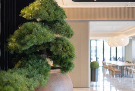 Гостиница All Seasons Hotel (Jiangyin Lingang Hongdou Wanhuacheng Branch)