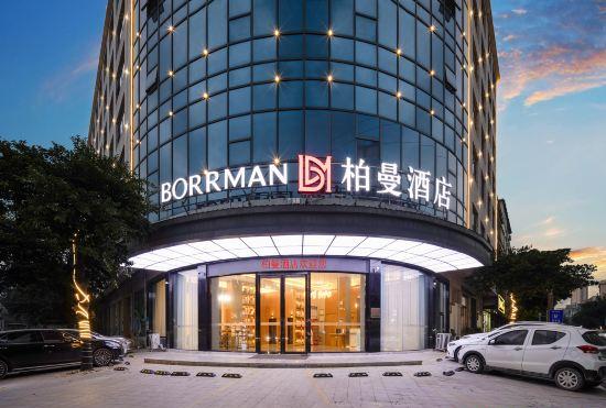 Гостиница BORRMAN