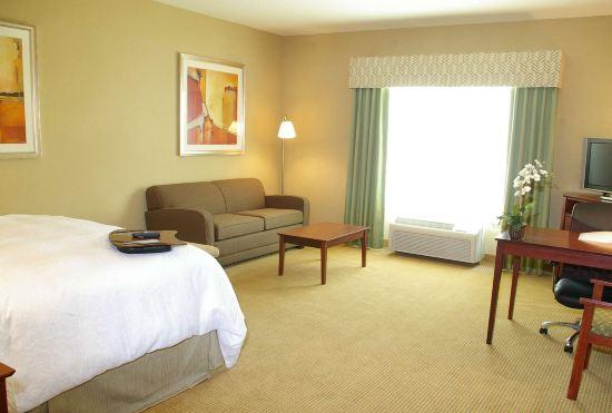Гостиница Hampton Inn & Suites Abilene I-20