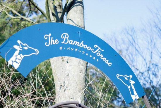 Гостиница THE BAMBOO FOREST