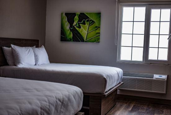 Гостиница Extended Suites Ciudad Juarez Consulado