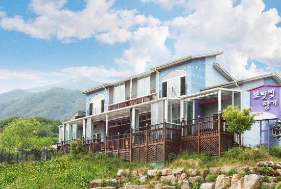 Гостиница Gapyeong Violet Perfume Pension
