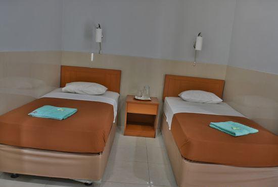 Гостиница Hotel Rudian