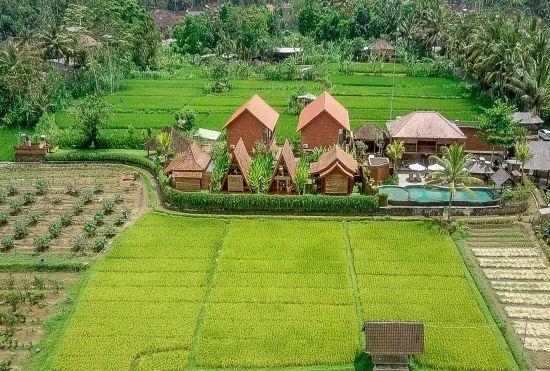 Гостиница Alam Kawi Ubud Resort & Spa