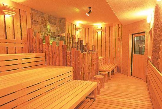 Hotel Spa Alps