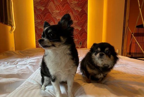 Hotel Kikunoya Away  7 Minutes Walk from Nagoya Station