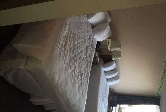 Гостиница Willow Tree Inn Branson