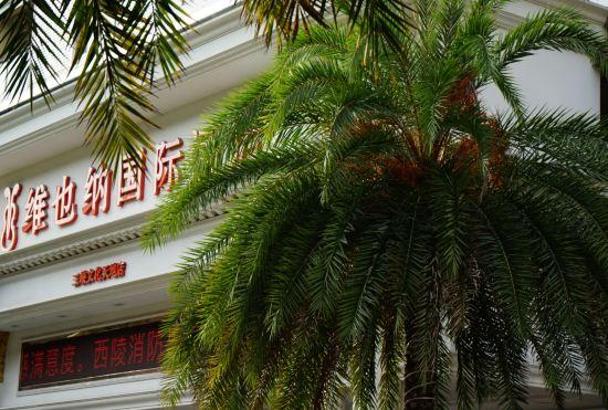 Гостиница Vienna International Hotel (Yichang Gezhouba Huaxiang Branch)
