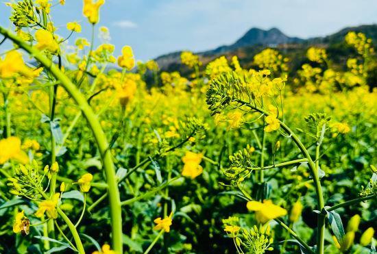 Гостиница Trip.com Group Country Retreats (Fujian Yongtai Chixi)