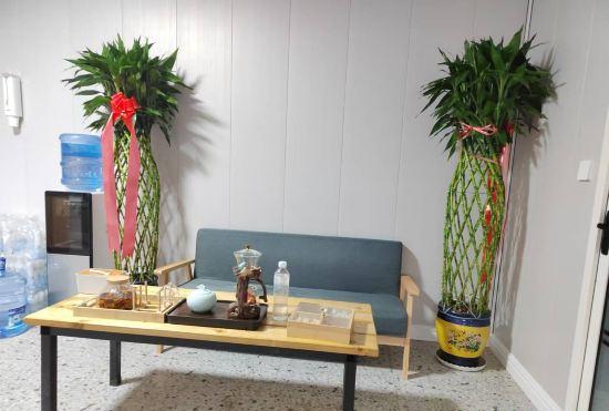 Гостиница Zhaosu Yunchuang Xiaozhu Homestay
