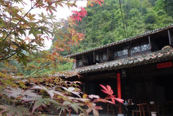 Hotel Qingtian Kaokeng Ancient Village Tianyuan Weishe Homestay