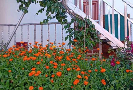 Hotel Nalati Honghui Inn