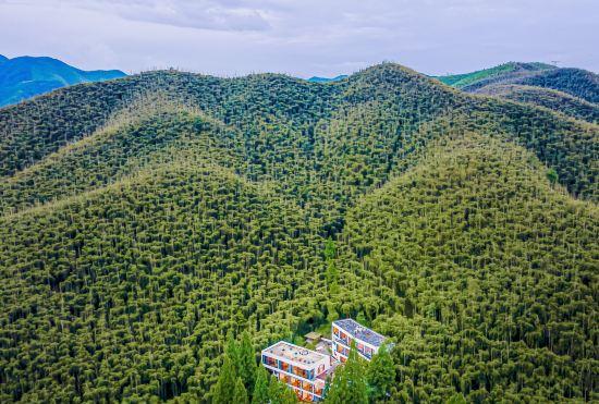 Moganshan Yinwujie bamboo forest and spring·Resort hotel