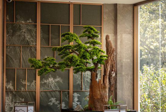 Гостиница LuShan THE HOTEL V
