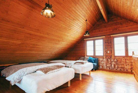 Hotel Dog Cottage D-99 Log House Building