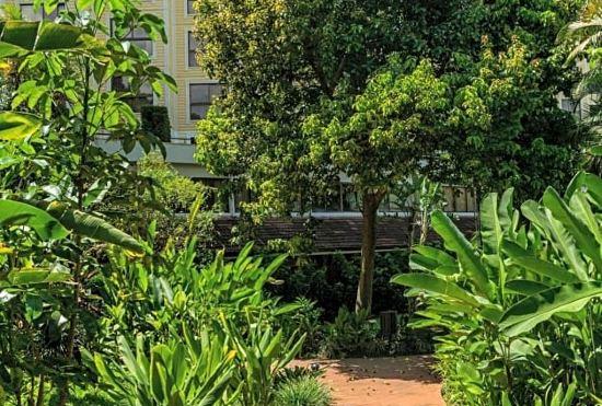 Гостиница Barceló San José