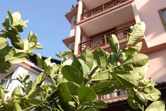 Xiaolonghe Hotel (Yangshuo Yulonghe Scenic Area)